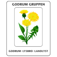 Godrum Gruppen S/I - logo